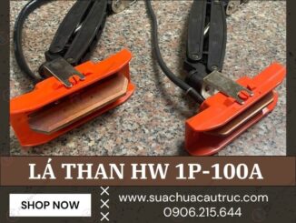 LÁ THAN 1P 100A HW